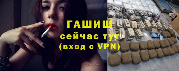 индика Богданович