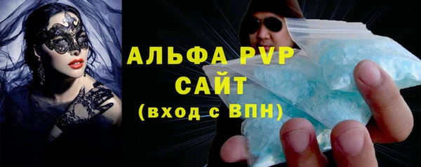 индика Богданович