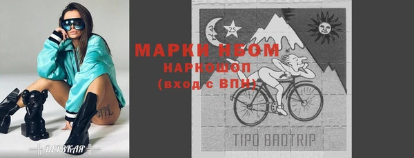 индика Богданович