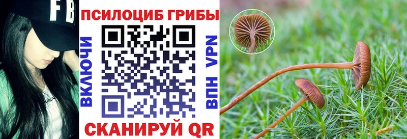 Псилоцибиновые грибы мухоморы  Грозный 